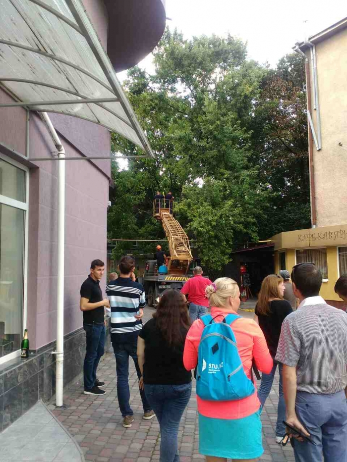 В Ужгороді рятувальники звільнили газопровід від поваленого дерева