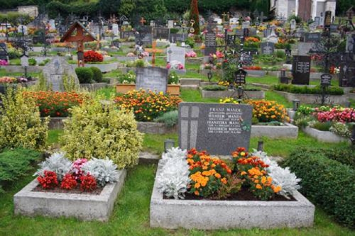 Для захоронення померлих мешканців Ужгорода облаштують додатковий сектор на кладовищі «Барвінок»