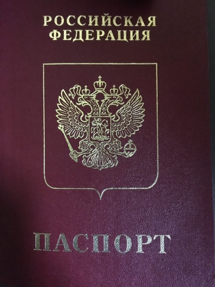 На кордоні з Угорщиною затримали громадянина Росії з підробками в паспорті