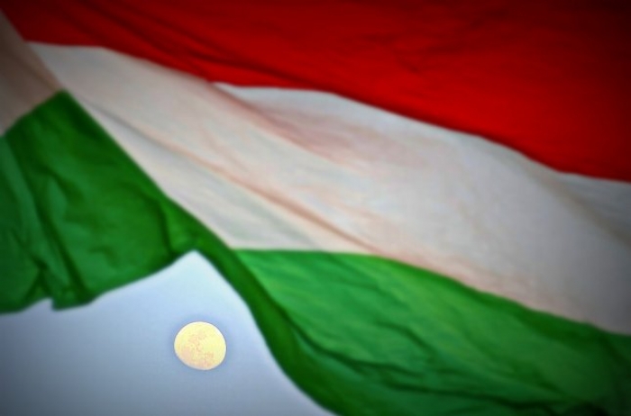 Чому в Угорщині незадоволені реформою української освіти
