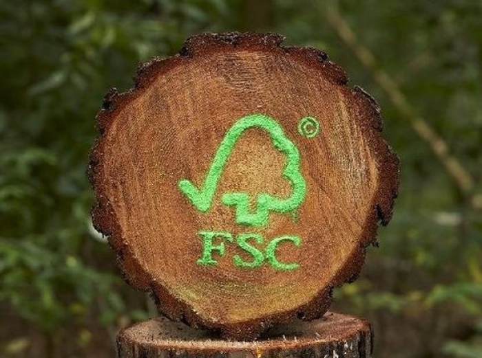 На Закарпатті майже всі лісові господарства мають сертифікат FSC