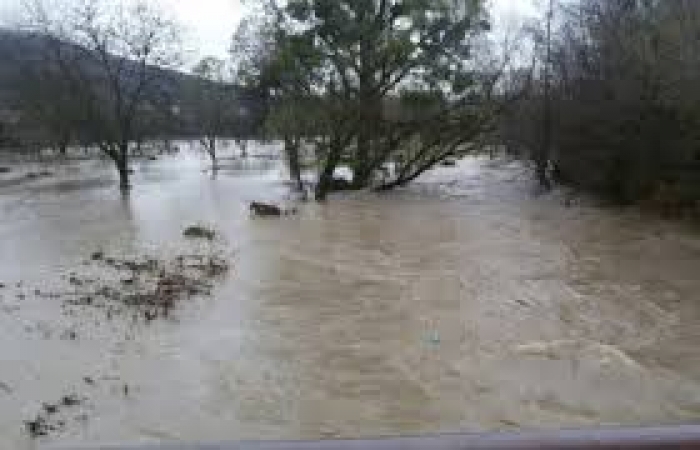 Москаль: «Грудневий паводок завдав Закарпаттю збитків на 86 мільйонів гривень»