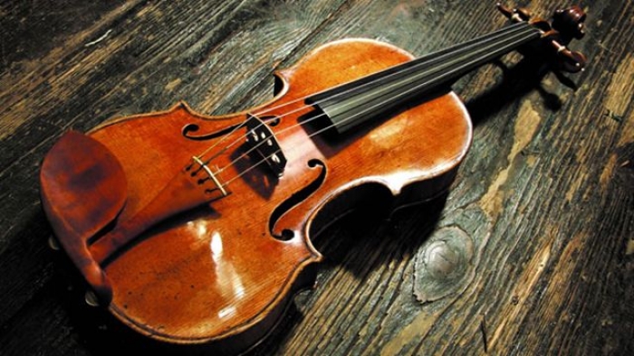 На Закарпатті є деревина, з якої виготовляли унікальні скрипки «Страдіварі»