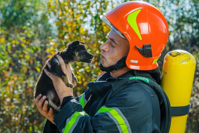 Мі-мі-мі від закарпатських рятувальників – фото з тваринами, які чекають на добрих людей