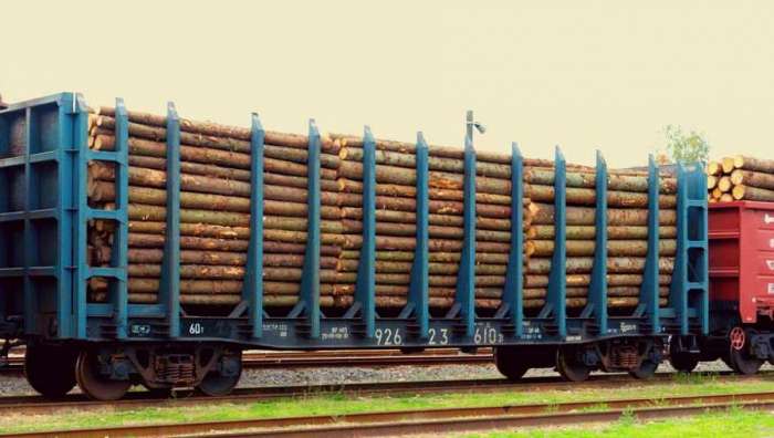 Перевезення лісових вантажів на Закарпаття з початку року зросло вдвічі!