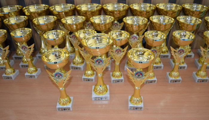 Юні дзюдоїсти Ужгорода привезли три вищі нагороди з Всеукраїнського турніру