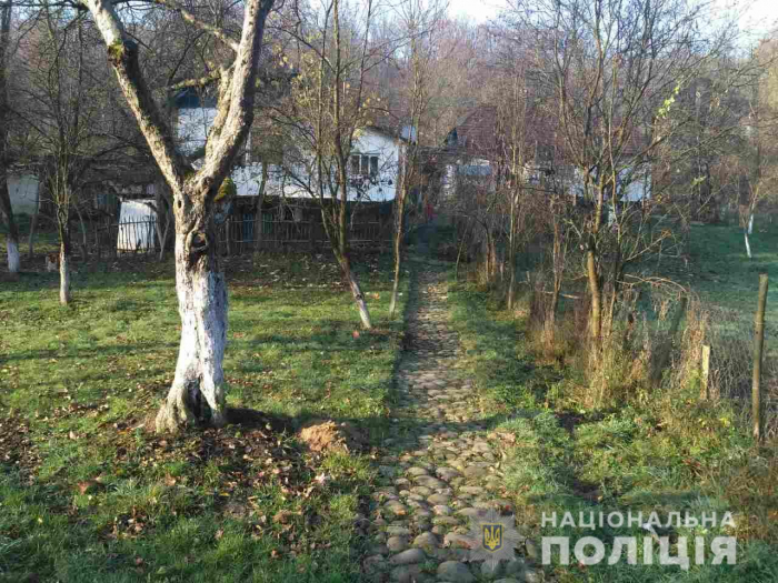 На Іршавщині жінка забила досмерті власного чоловіка дерев’яним поліном