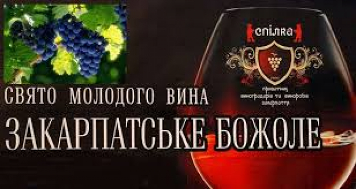 У мережі з'явилося відео з відкриття фестивалю молодого вина