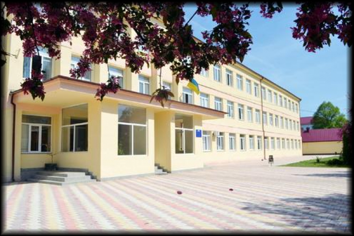 Ужгородську школу-інтернат устаткують новим спортмайданчиком (ВІДЕО)