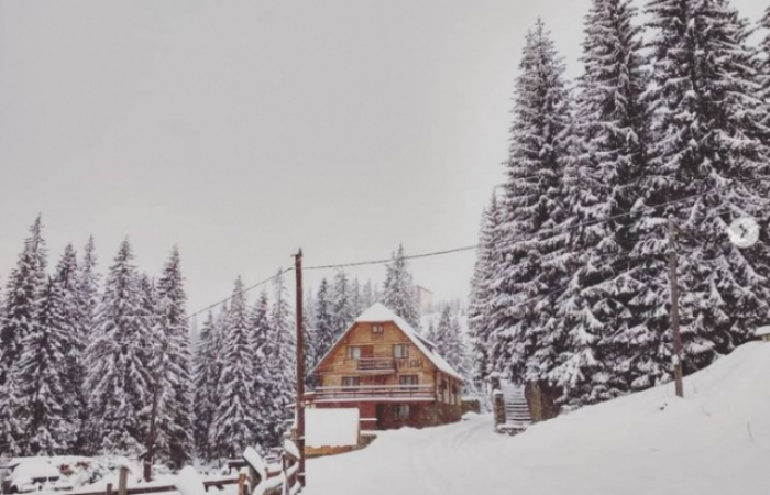 Зимова казка: у мережі опублікували фото засніжених Карпат