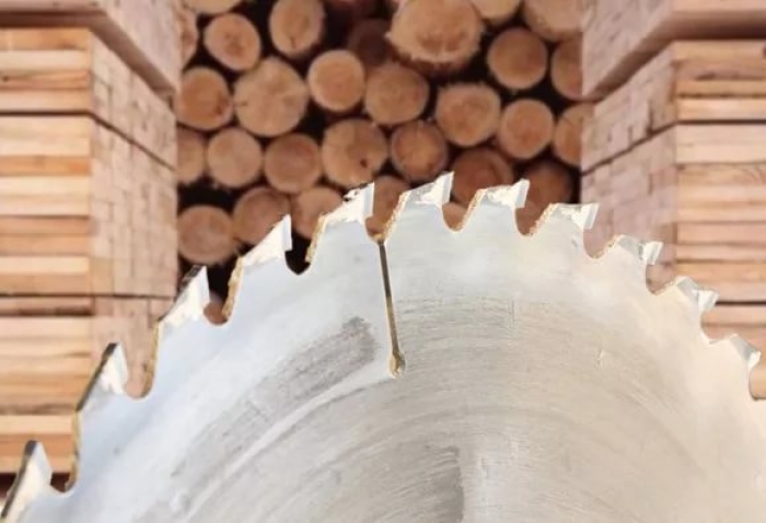 Які кроки потрібно зробити закарпатцю, аби придбати дрова