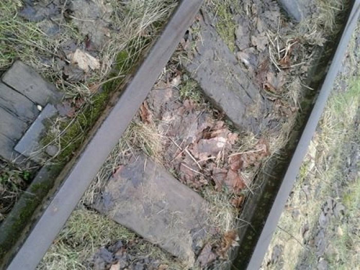 На Іршавщині чоловік поцупив три залізничні рейки, довжиною 9 метрів