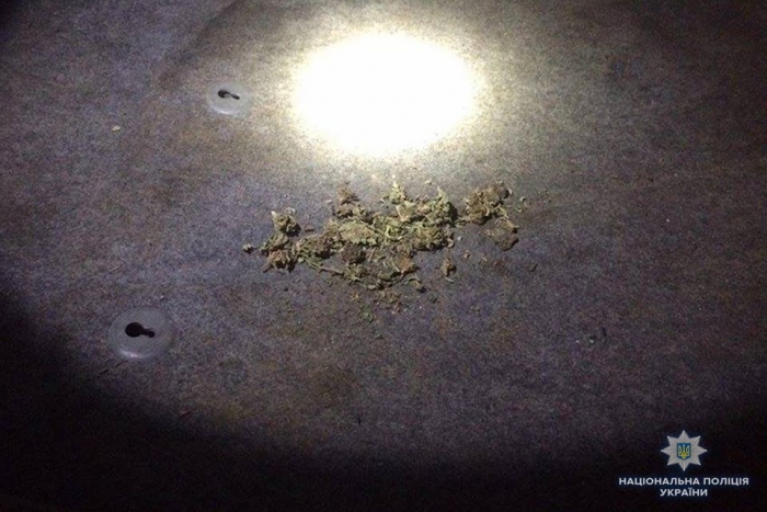 Не багато, не мало: копи виявили 10 грамів марихуани у мешканця Хустщини