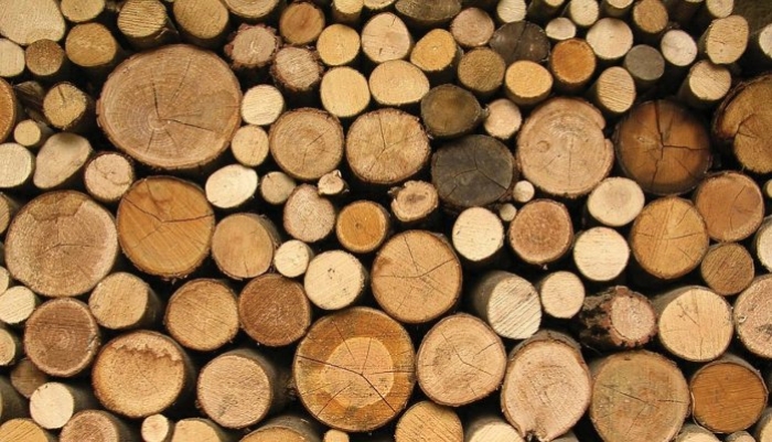 Закарпатська ДФС інформує про справляння у 2018 році рентної плати за спеціальне використання лісових ресурсів