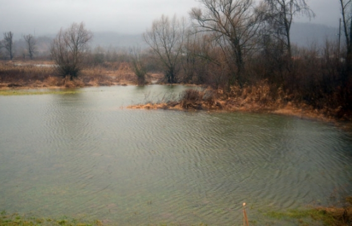 У річці на Свалявщині виявили тіло чоловіка