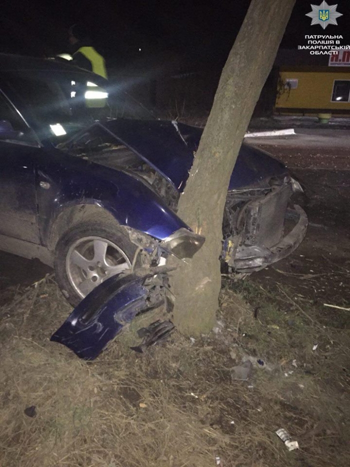 Керманич авто в Ужгороді був під таким градусом, що "не помітив" дерево на узбіччі