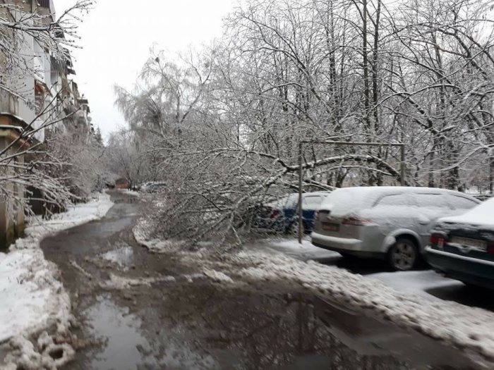 Закарпатський Севлюш опинився під ударом снігової стихії зі шквальним вітром