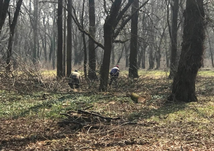 Лісівники допомагають зробити чистішим найбільший парк Ужгорода 