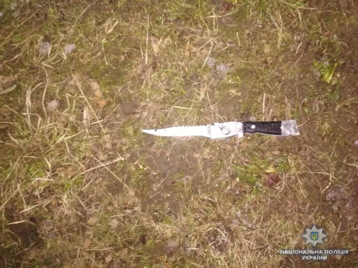 У порушника ПДР на Іршавщині поліція знайшла чималий ніж та "звеселяючу травичку"