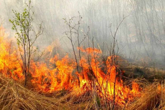На Хустщині чоловік серйозно попікся під час спалювання сухої трави 