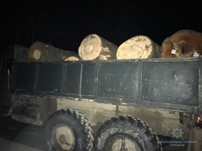 Таки побачили: на Тячівщині поліціянти задокументували факт перевезення нелегальної деревини