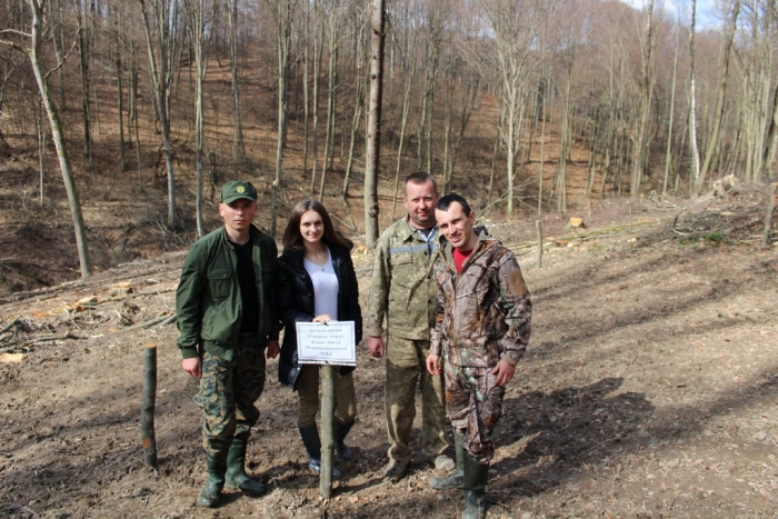 На Перечинщині лісівники закладають шкілки модрини європейської