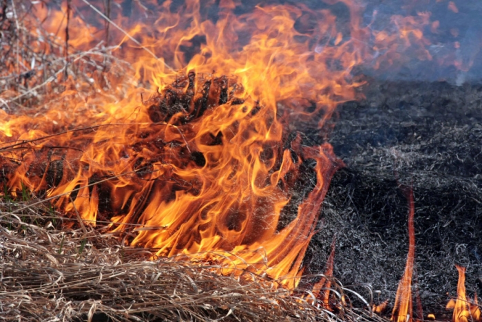 Мешканка Мукачівщини через спалювання сухої трави опинилась в реанімації
