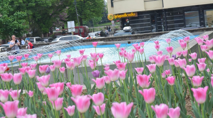 Водограй з тюльпанами на площі Поштовій — нова туристична принада в Ужгороді