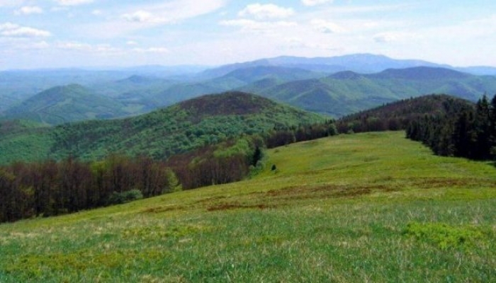 Екологічне поселення "Родниковий край" хочуть створити на закарпатській Свалявщині