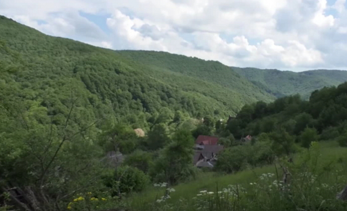 У горах за кількадесят кілометрів від Ужгорода заховалося село, де проживає менше півтора десятка людей