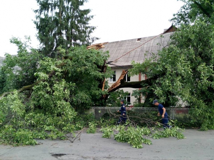 Пошкоджені покрівлі будинків, повалені дерева, знеструмлені села: Закарпаття оговтується від примх погоди