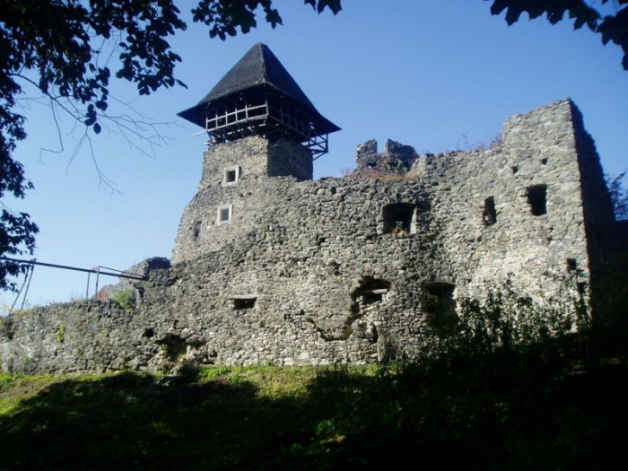 Прокуратура в суді оскаржить рішення про передачу Невицького замку Кам’яницькій сільраді