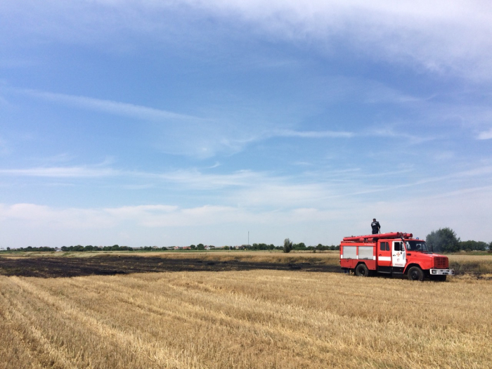 Через підпалену стерню на Мукачівщині згоріло півгектара пшениці