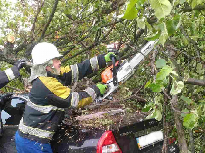 Негода в Ужгороді: три автомобілі пошкоджено поваленими деревами