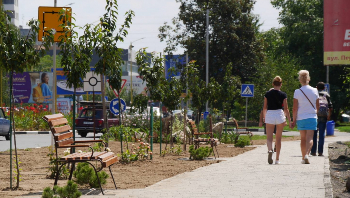 В Ужгороді завершили озеленення вздовж тротуарів на вулиці Миколи Бобяка