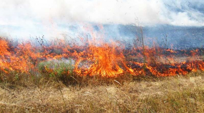 На Ужгородщині була велика пожежа