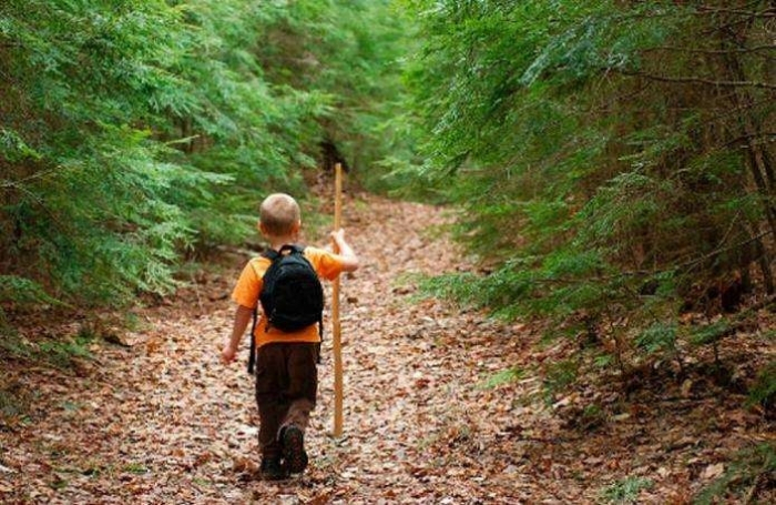 Вночі на Іршавщині поліція шукала 8-річного хлопчика, який загубився у лісі