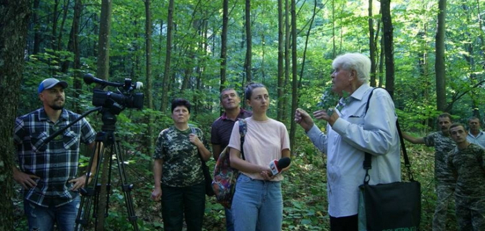 Лісівники про лісовідновлення зрубів з участю дуба скельного у дубово-буковій зоні Закарпаття