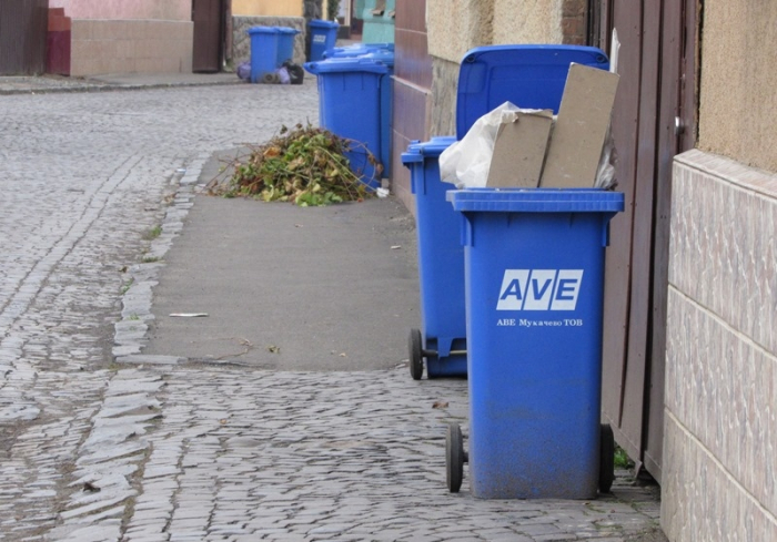 Знову людям "забили баки": ситуація із сміттям у Ключарках на Мукачівщині досі залишається невирішеною