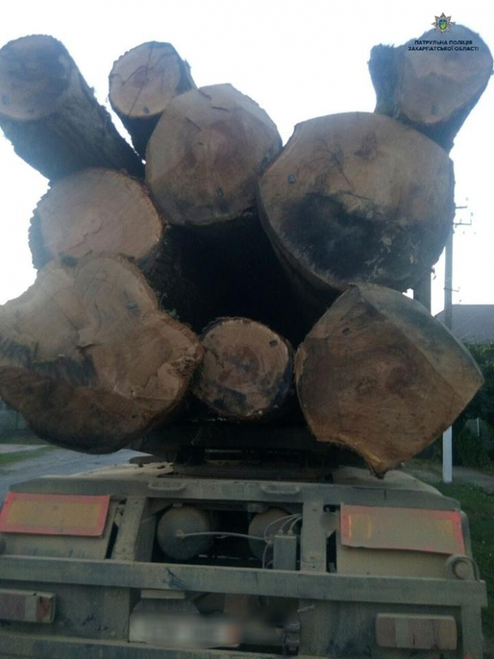 Повнісінький "Камаз" нелегальної деревини зупинили поліціянти на Мукачівщині
