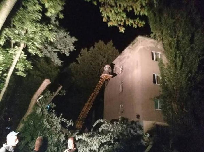 В Ужгороді рятувальники з комунальниками ліквідовували наслідки падіння дерева на 4-поверховий будинок