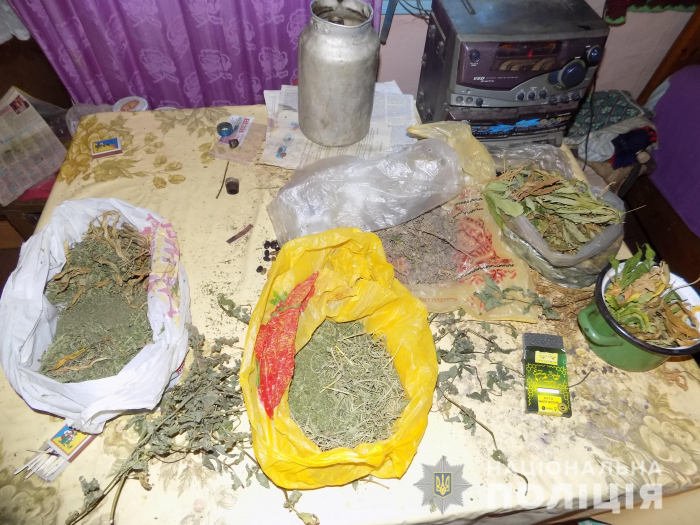 Місцевий "Ескобар" на Рахівщині створив вдома плантації марихуани та коноплі