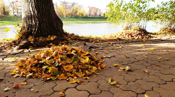 Справжня осінь уже на Закарпатті – готуйте куртки і парасольки