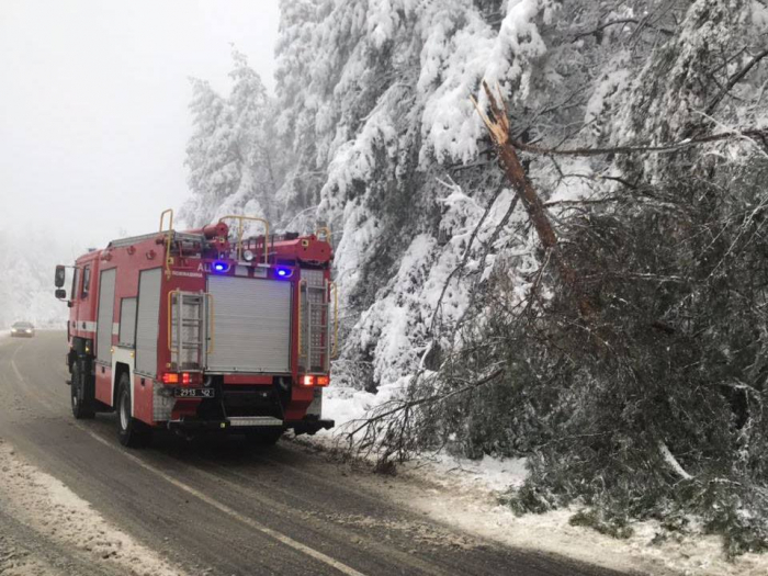Через снігопад і деревопад знеструмлено 35 сіл у трьох районах Закарпаття