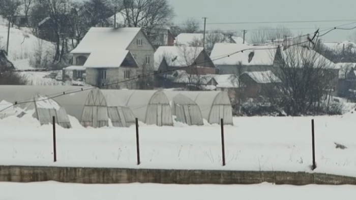 Сніг дошкуляє фермерам на Іршавщині – обвалив немало парників