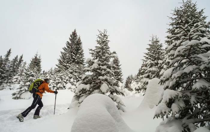 Вихідні на Закарпатті будуть по-справжньому зимові: сильний сніг та лавинонебезпека