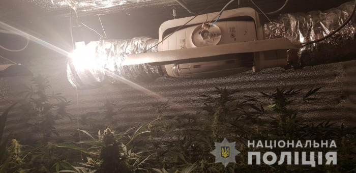 Подружжя з Одещини на Рахівщині облаштувало горище будинку під нарколабораторію