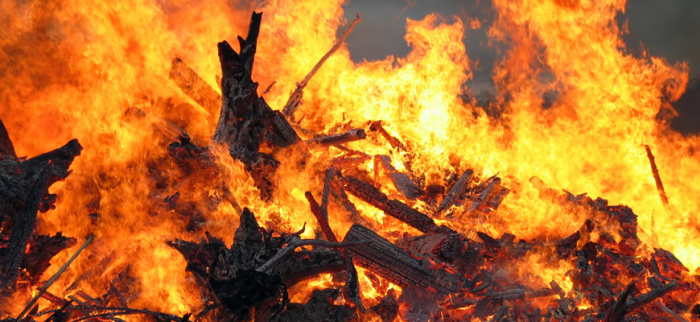 "Гарячий" початок року в Закарпатті: скільки пожеж зафіксовано?