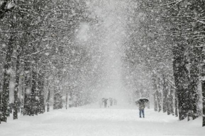 Прогноз погоди на Закарпатті: чи сніжитиме завтра?