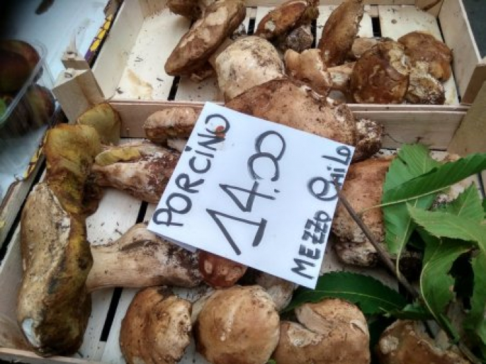 У Генуї продають закарпатські гриби за понад 1000 грн